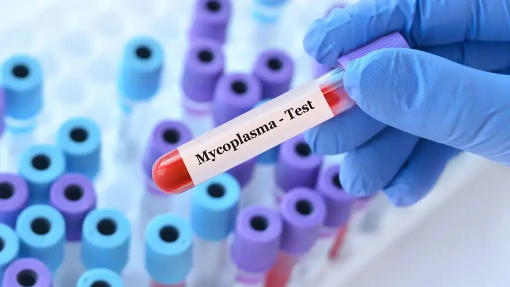 Mycoplasmas: Often Missed Parthenogenic Cause of Disease