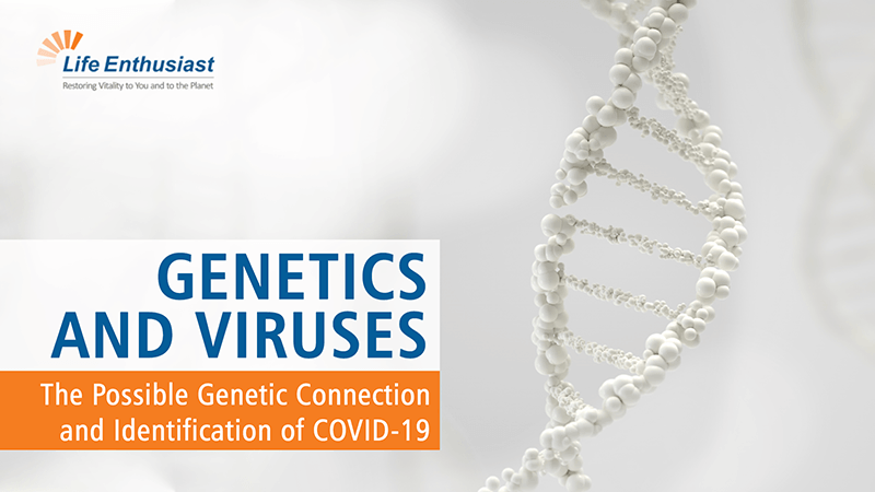 Illustration of DNA strand with text on Genetics and Viruses, discussing genetic connection to COVID-19.