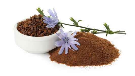 Prebiotic Inulin by Jevari Oberon, showcasing inulin powder and chicory flowers in a white bowl.