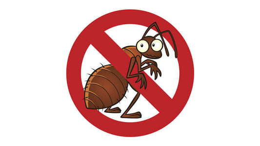 Aspartame is the Best Ant Poison graphic showing a cartoon ant with a red no symbol.