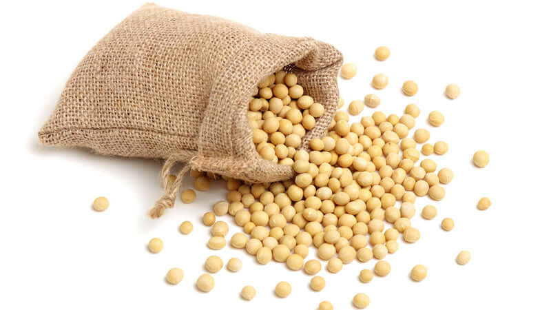 A burlap sack spilling soybeans, related to Spilling the Beans on Soy.