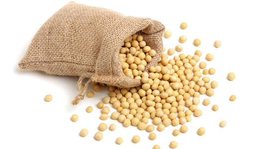 A burlap sack spilling soybeans, related to Spilling the Beans on Soy.