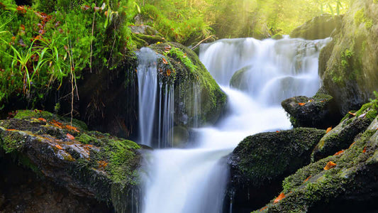 A serene waterfall surrounded by lush greenery, illustrating the essence of Water by Tim O'Shea.