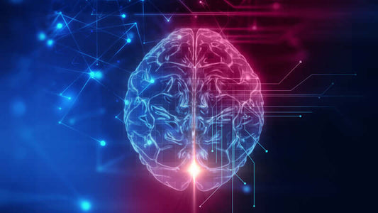Visual representation of Brain Chemistry illustrating neural connections and brain activity.