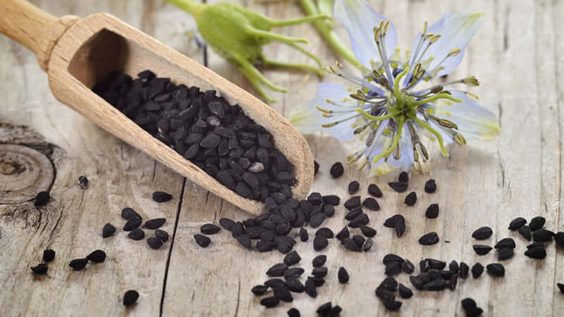 Black Seed - Remedy for Everything but Death