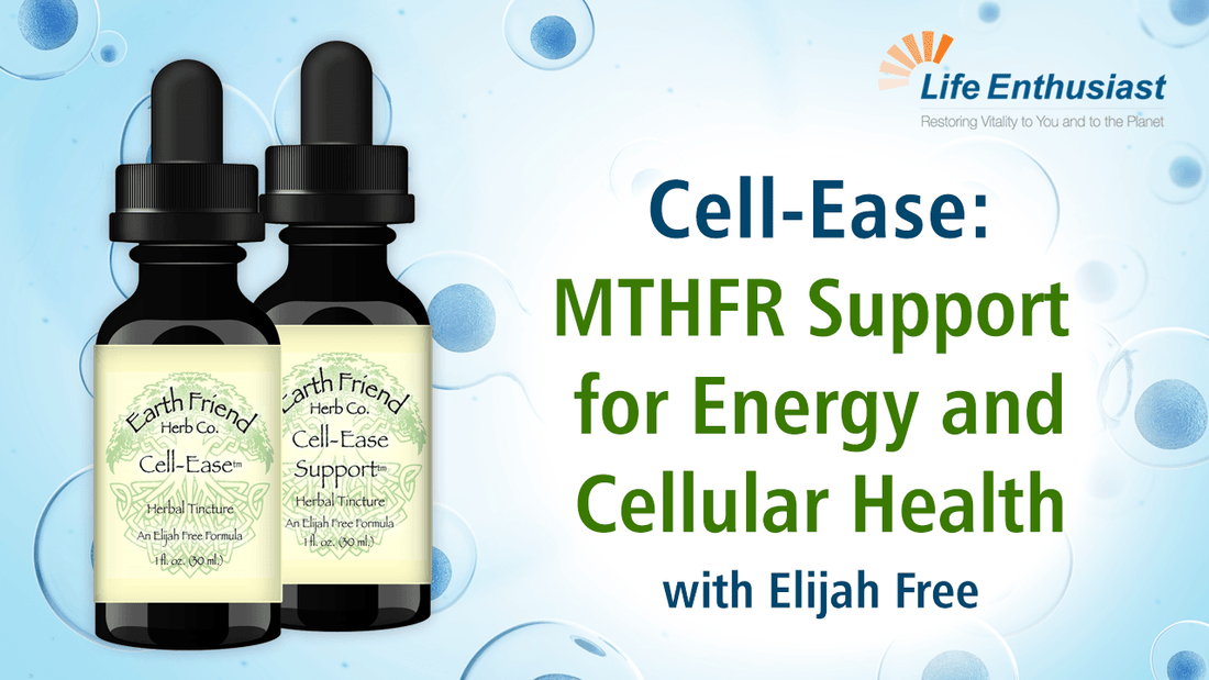 Cell-Ease Support bottles for MTHFR Support, Energy, and Cellular Health featured with Elijah Free.