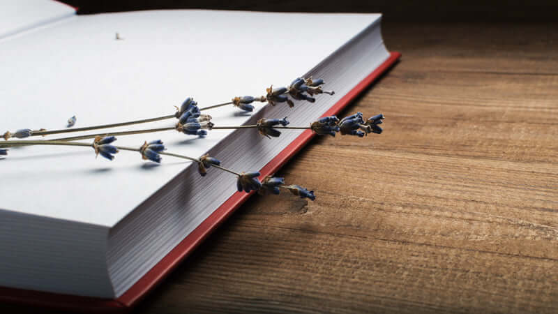 Aromatherapy Guide to Afflictions with dried lavender on an open book.