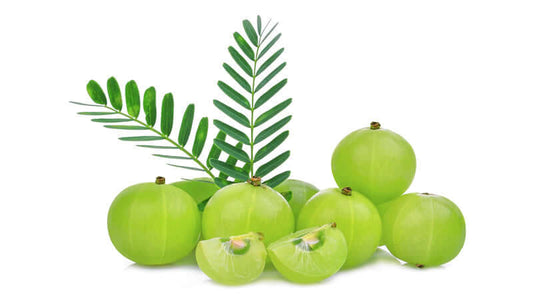 Fresh Amla fruits with green leaves, showcasing the unique appearance of Amla.