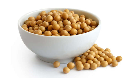 Bowl filled with soybeans, representing an essential ingredient discussed in the article 'What About Soy?'.  