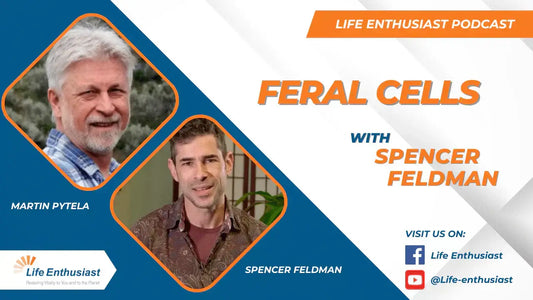 Podcast 483 featuring Martin Pytela and Spencer Feldman discussing Feral Cells.