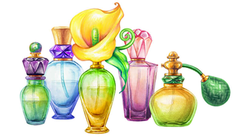 Colorful bottles of aromatherapy carrier oils surrounded by a yellow flower.