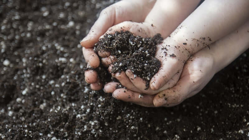 Hands holding dark, rich soil representing organic materials and nutrients for plants.
