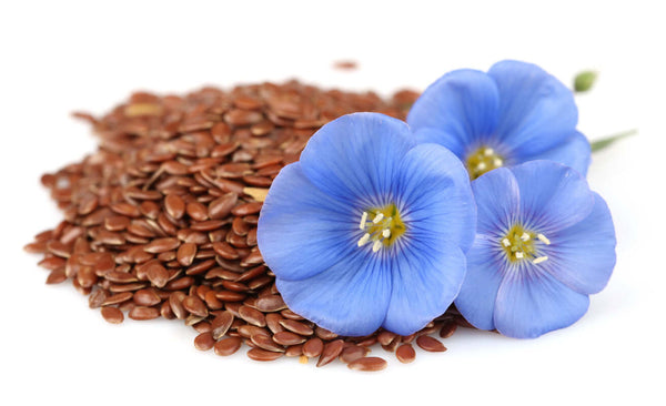Flax: Breakthrough Cancer Treatment
