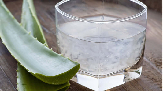 Aloe Vera Benefits: Fresh aloe vera leaf next to a glass of clear aloe vera gel.