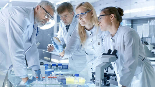 Researchers examining samples while discussing Amino Acid Regulation of Gene Expression in a modern laboratory.