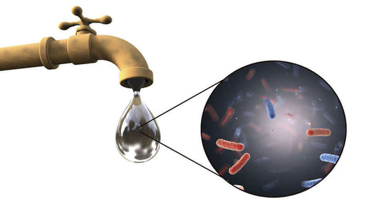 Image illustrating Tap Water Dangers, featuring a faucet dripping water and bacteria magnified.