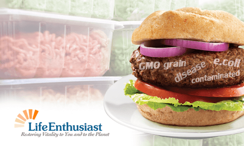 Beef Bacterial Contamination with E. Coli in a burger with lettuce and tomato.