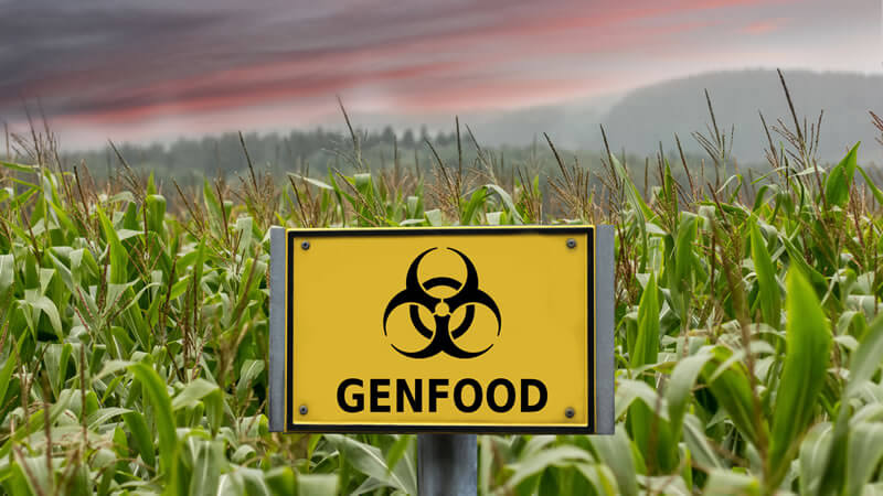 Monsanto's Big Deal