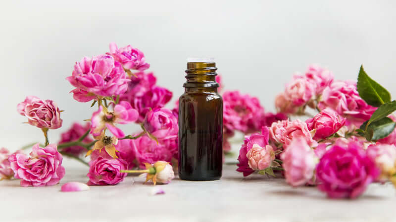 A bottle of essential oil surrounded by pink roses, representing Rock Rose Essence.