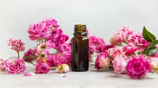 A bottle of essential oil surrounded by pink roses, representing Rock Rose Essence.