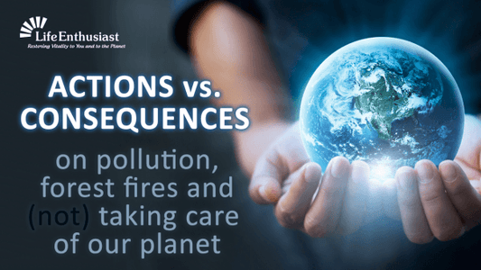 Hands holding a globe illustrating actions vs. consequences on pollution and care for the planet.