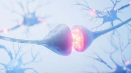 What is Dopamine and How Does It Work?