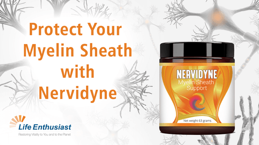 Nervidyne Myelin Sheath Support supplement for promoting nerve health and vitality.