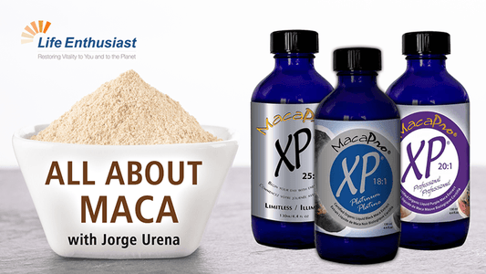 Image of Maca from UHTCO products and powder featured in Life Enthusiast podcast with Jorge Urena.
