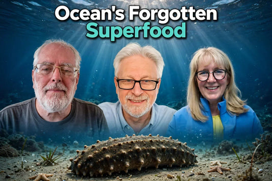 Podcast 544: Sea Cucumber Secrets — The Ocean’s Forgotten Superfood