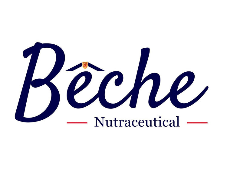 Beche Nutraceutical logo showcasing sea cucumber capsules for wellness.