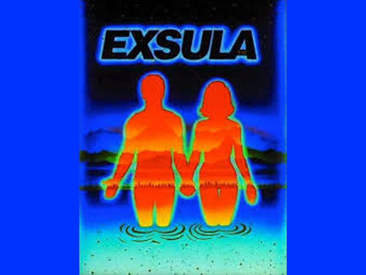 Premium Nutrient Dense Superfood Powder Exsula Superfoods