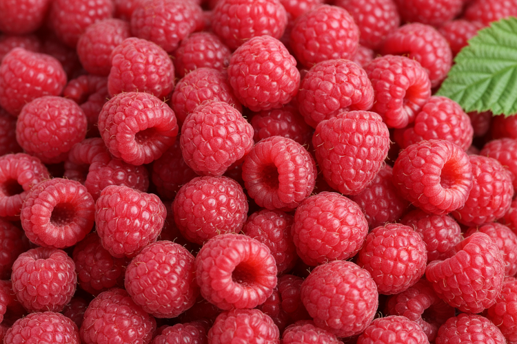 Ellagitannins (ellagic acid)