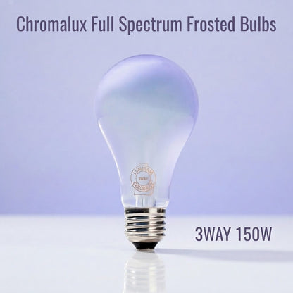 Chromalux Full Spectrum Frosted Bulbs