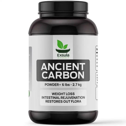 Ancient Carbon