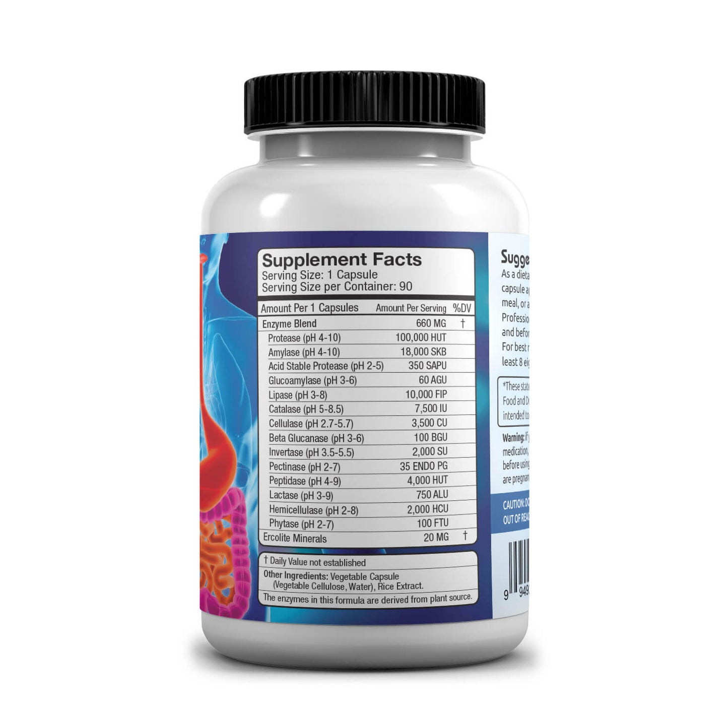 Bottle of Allegany Nutrition Digestive Enzymes AL Supplement Facts on a white background