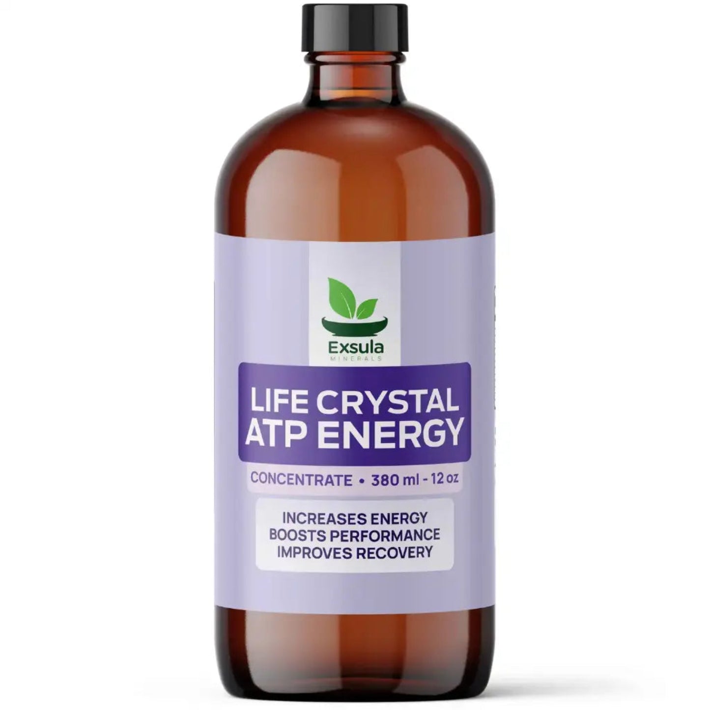 ATP Energy