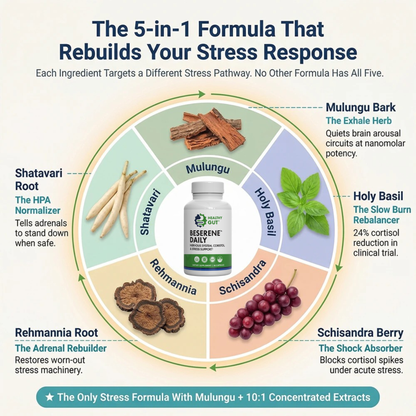 5-in-1 formula for Adaptogenic Stress Relief, featuring BeSerene Daily ingredients like Mulungu, Holy Basil, and more.