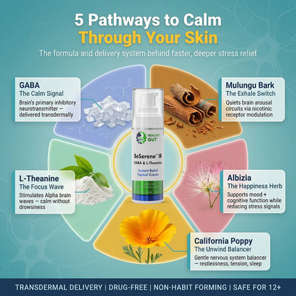 Diagram titled '5 Pathways to Calm Through Your Skin' with natural elements and a bottle labeled 'Heavenly Well'.