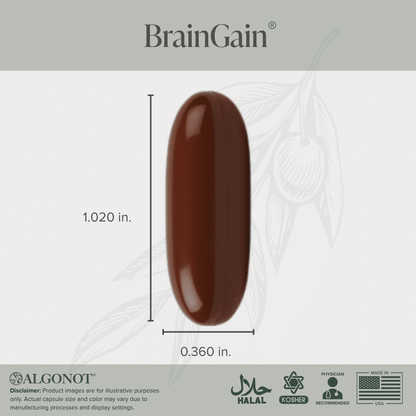 BrainGain - Liposomal Flavonoid Brain Support