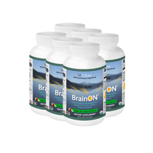 Bundle: BrainON Fresh Frozen (Pack of 6) Apple/Lemon 16oz/473ml by E3 Live