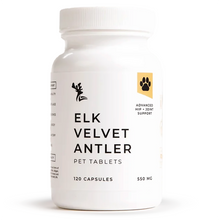 Bottle of Elk Velvet Antler Pet Tablets supplements on a white background
