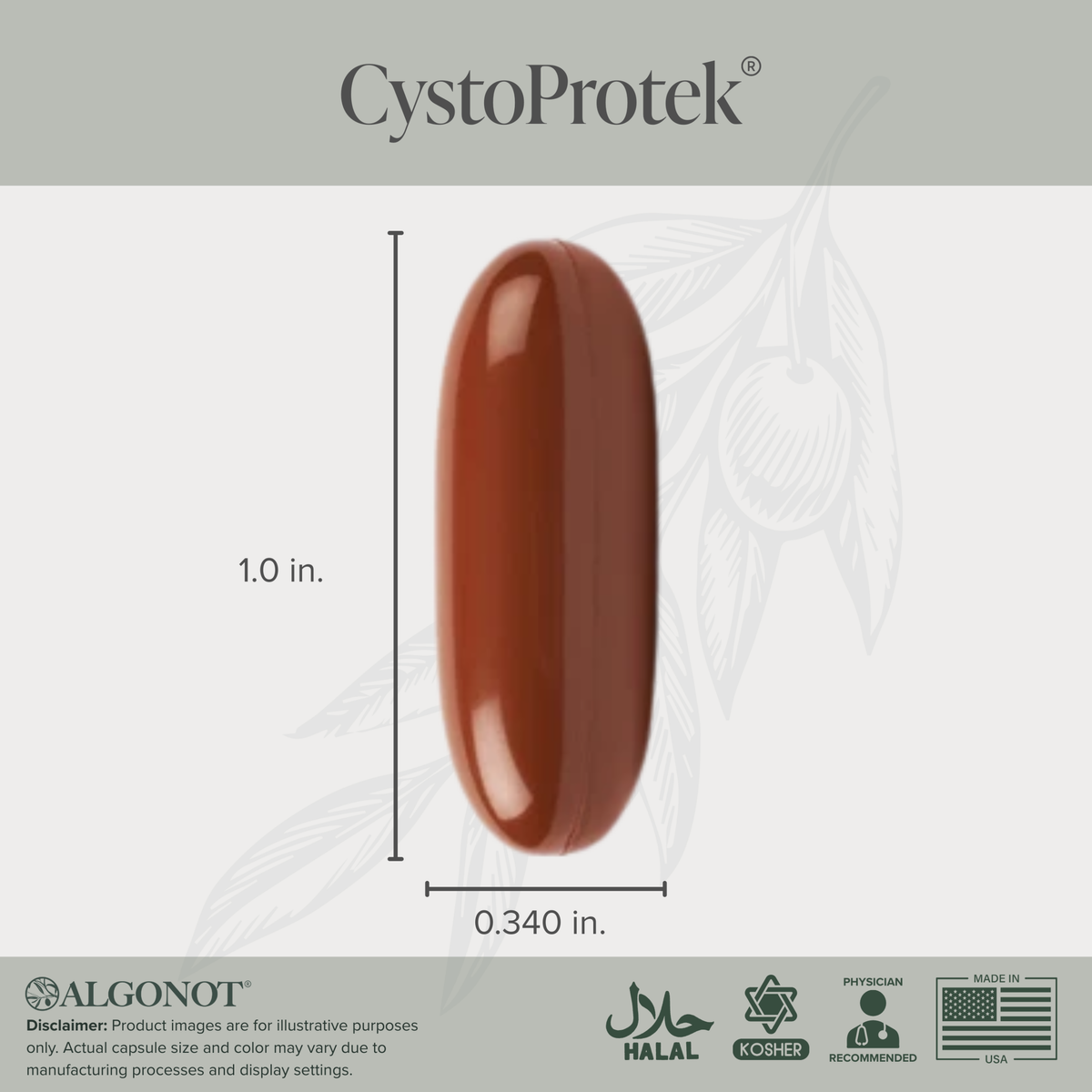 CystoProtek capsule with dimensions and certification logos on a light gray background