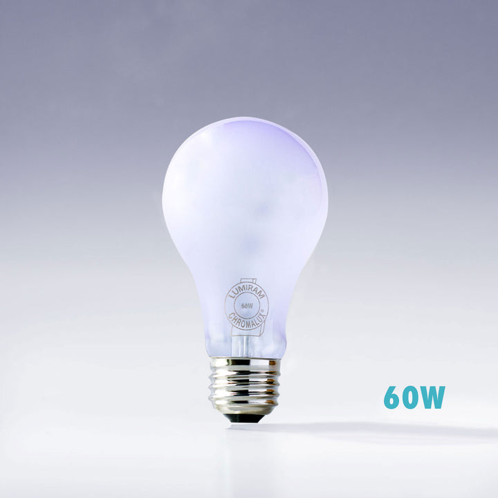 LED light bulb with '60W' label on a gray background