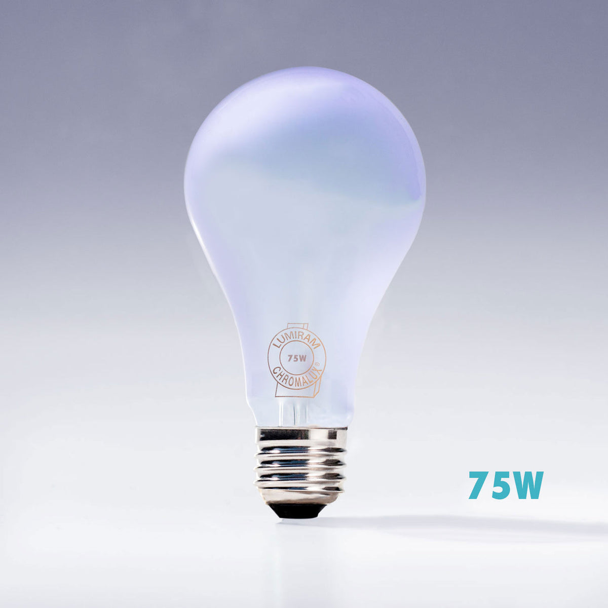 A 75W frosted glass light bulb with a silver screw base, shown against a light gray gradient background with '75W' text in the lower right.