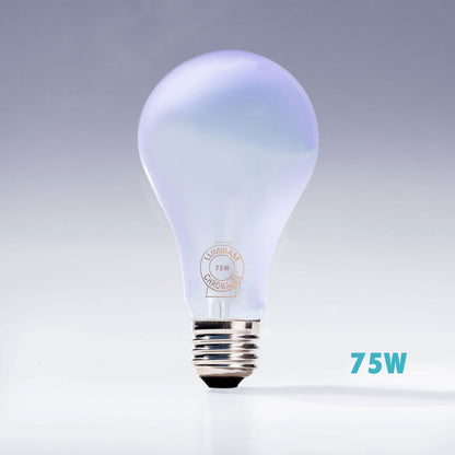 A 75W frosted glass light bulb with a silver screw base, shown against a light gray gradient background with '75W' text in the lower right.