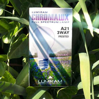 LUMIRAM CHROMALUX Full Spectrum Lamp A21 75W Frosted packaging box, featuring a frosted bulb graphic and a field of blue flowers, photographed outdoors among green leaves with natural dappled sunlight.