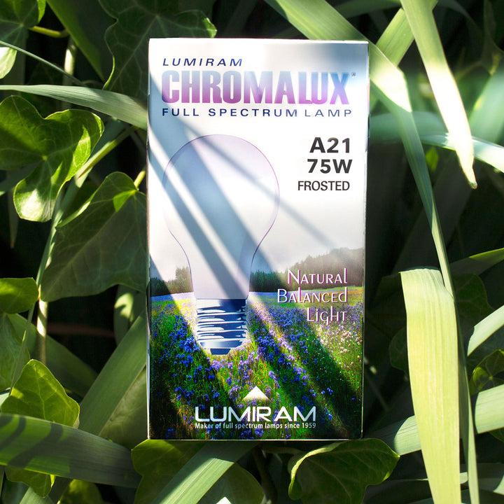 LUMIRAM CHROMALUX Full Spectrum Lamp A21 75W Frosted packaging box, featuring a frosted bulb graphic and a field of blue flowers, photographed outdoors among green leaves with natural dappled sunlight.