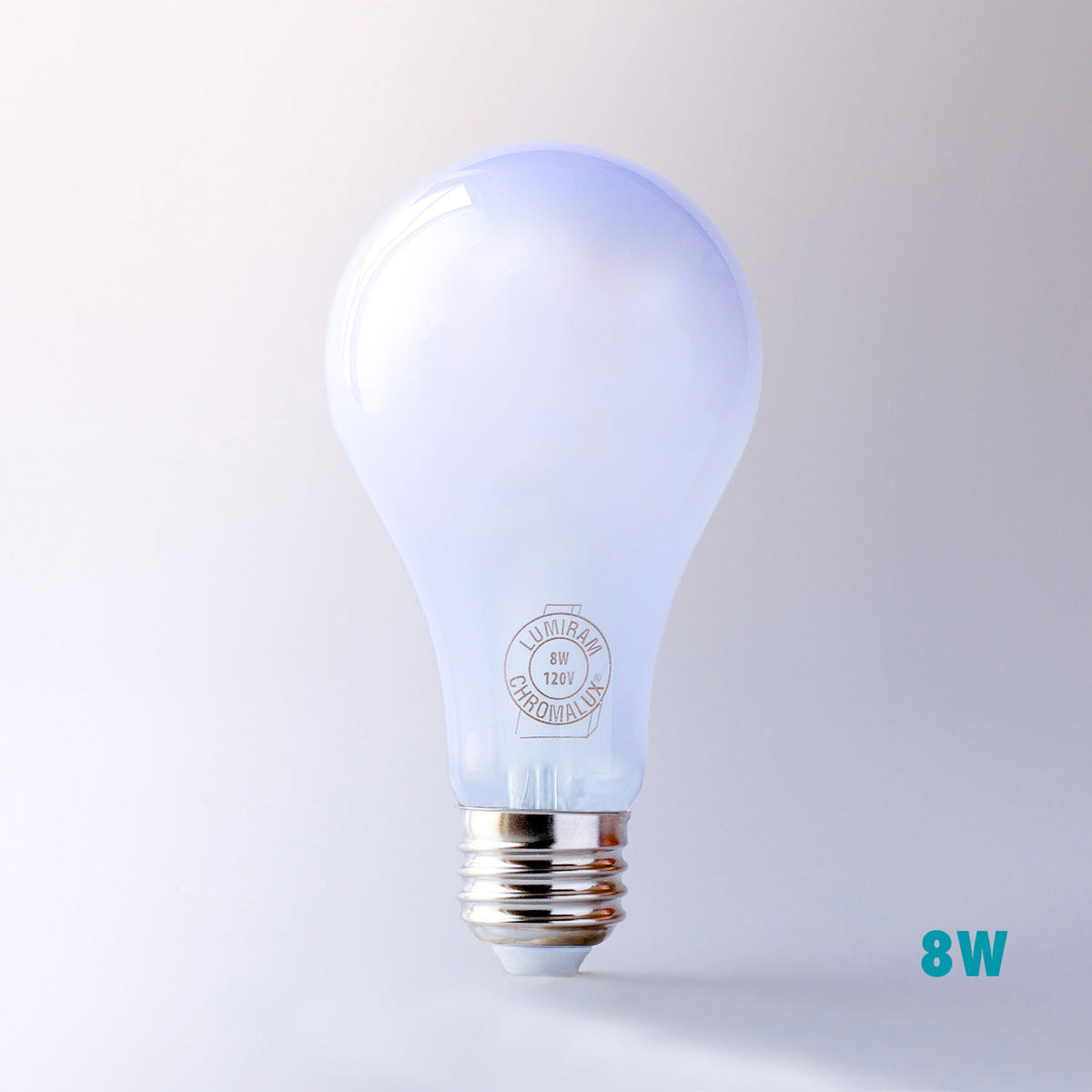 An 8W LED light bulb with a frosted glass envelope and a silver screw base, shown against a light gray gradient background with a blue '8W' text overlay in the bottom right corner.