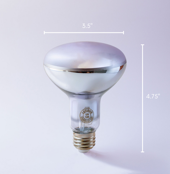 A clear glass PAR bulb with a reflective dome and brass screw base, shown on a light gray background with white dimension lines indicating 3.5 inches in width and 4.