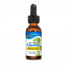 Wild Mountain Cilantro Oil in a dropper bottle, supporting detoxification and cleansing processes.